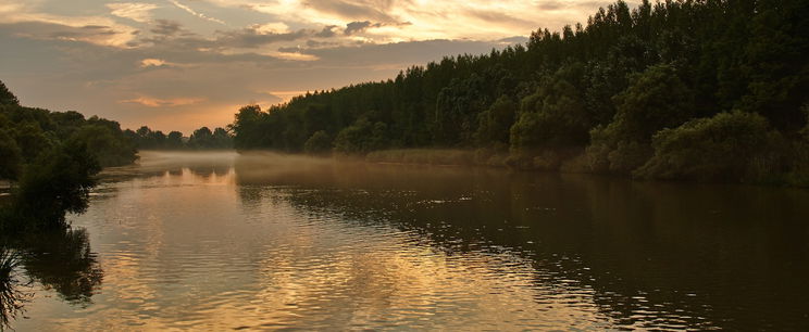 Magyarország legnagyobb szigetén őselefántok és háromujjú lovak is legelhettek